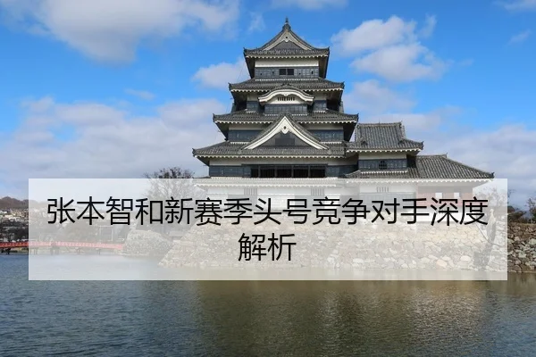张本智和新赛季头号竞争对手深度解析