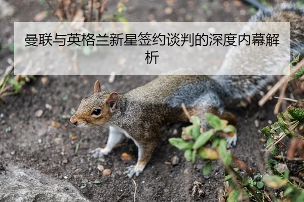 曼联与英格兰新星签约谈判的深度内幕解析